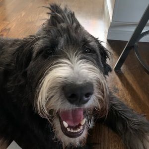 Meet your Posher, Hannah